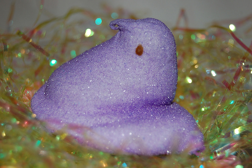 purple stuffed peep